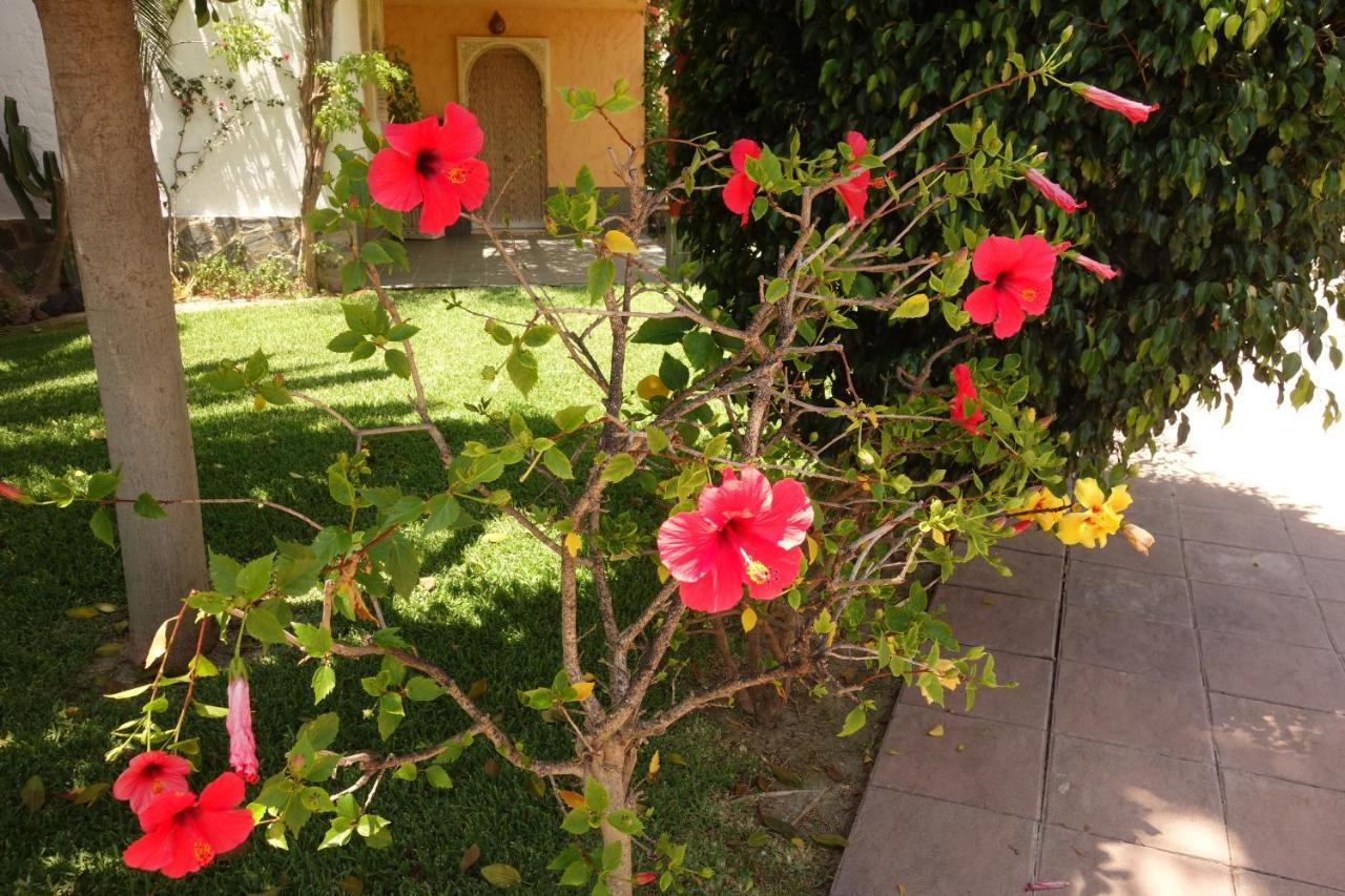Vera Playa Spain - La Menara Naturist Complex - Eagles Nest - Penthouse 외부 사진